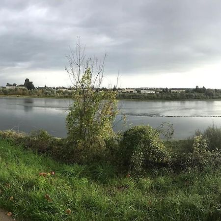 דירות בלואה Nid Douillet Bord De Loire מראה חיצוני תמונה