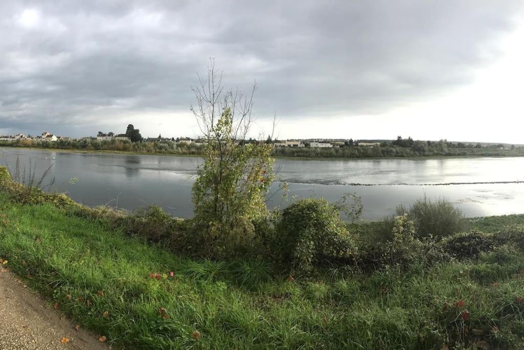 דירות בלואה Nid Douillet Bord De Loire מראה חיצוני תמונה